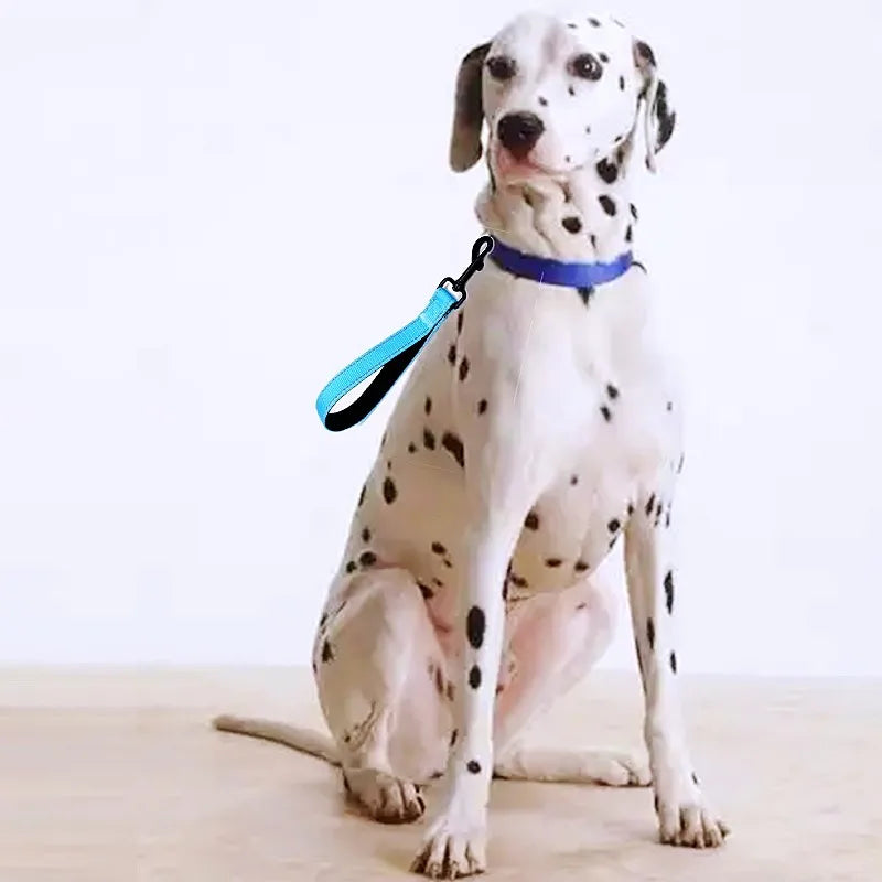 Dog Leash 25cm Dogs Leashes Reflective Short Leash For Medium Large Dog Walking Soft Padded Handle Dogs Leashes Short Pet Chain