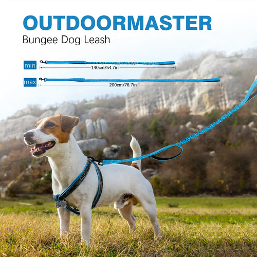 Bungee Dog Leash, Heavy Duty Dog Leash with Shock Absorption, 2 Padded Handles Training Leash, Improved Dog Safety and Comfort