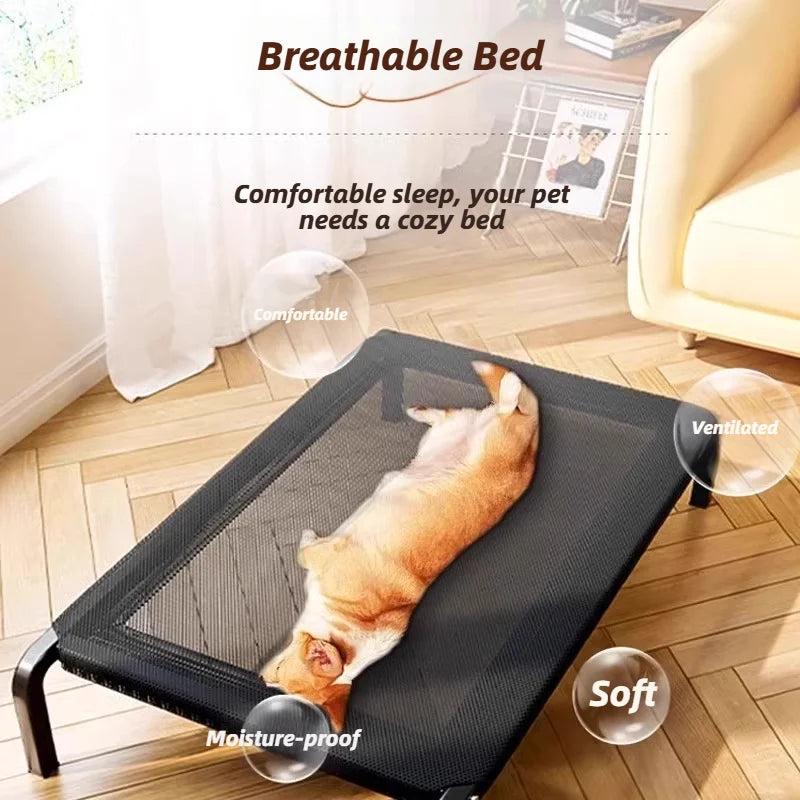 Elevated Dog Cot Bed – All-Season Raised Pet Bed