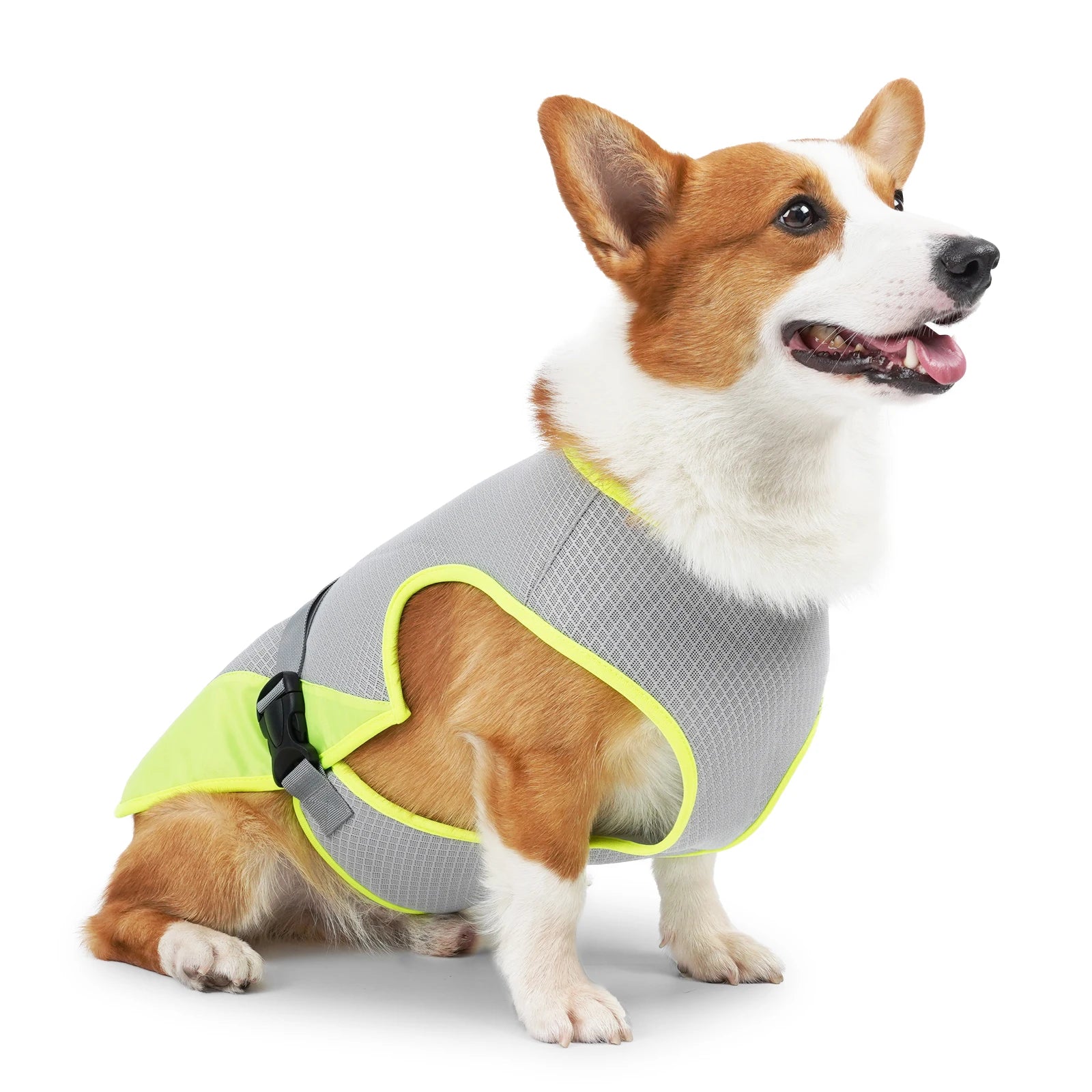 Dog Cooling Vest — Breathable Summer Jacket for Pets