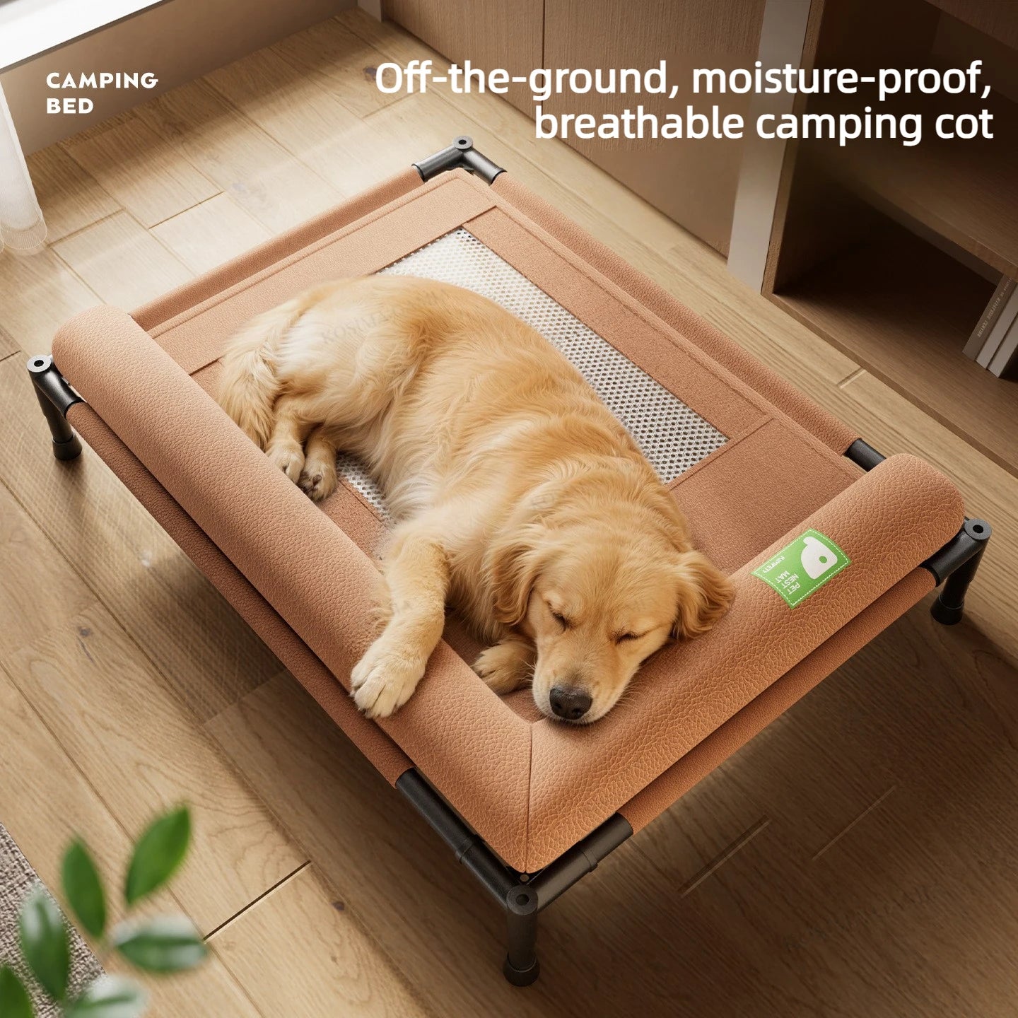 Elevated Cooling Dog Bed with L-Shaped Pillow