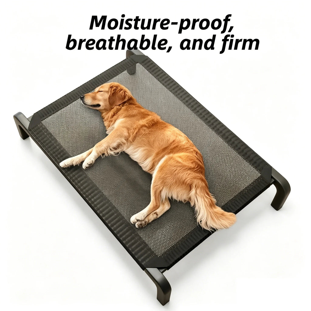 Elevated Dog Cot Bed – All-Season Raised Pet Bed
