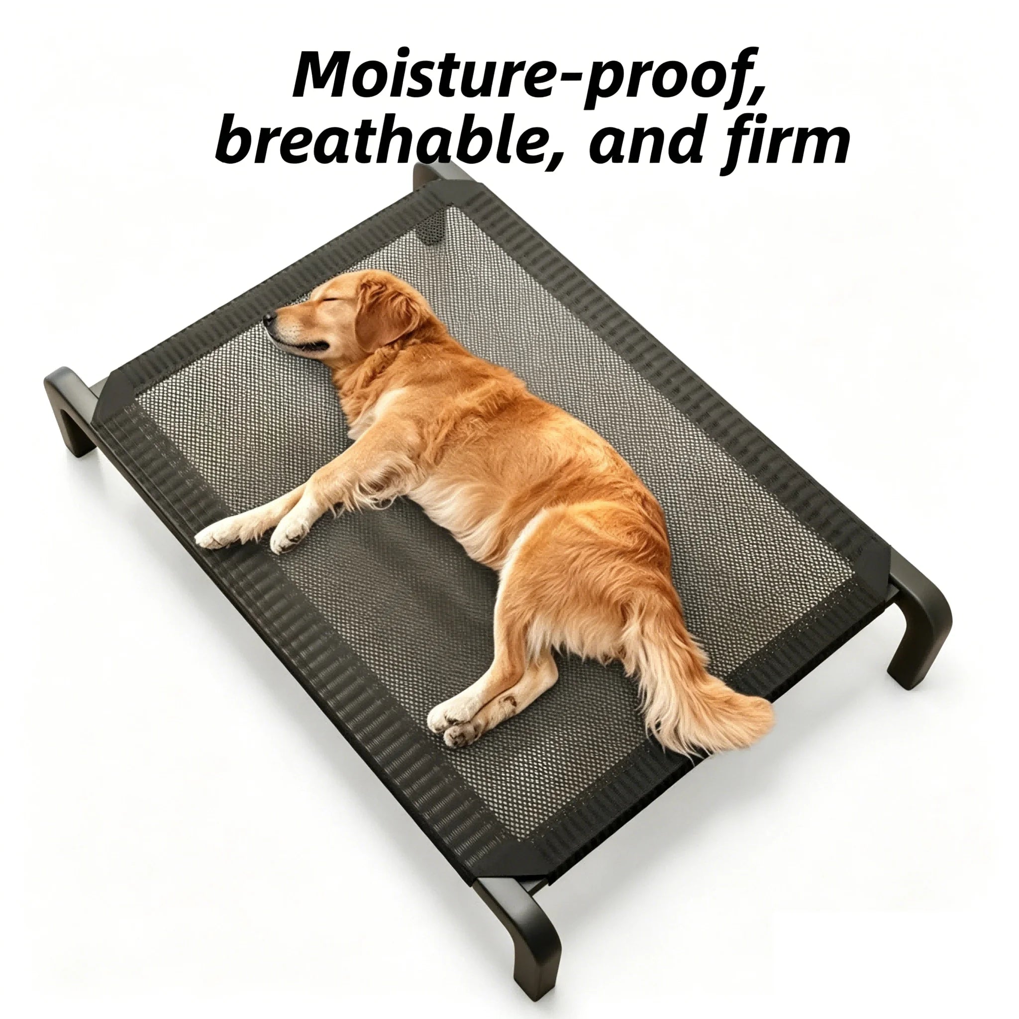 Elevated Dog Cot Bed – All-Season Raised Pet Bed
